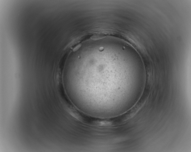 X0000115680165200911191101