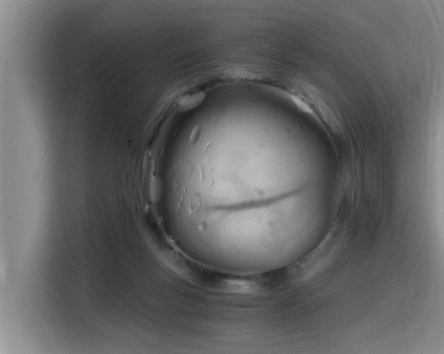 X0000115680167200911191101