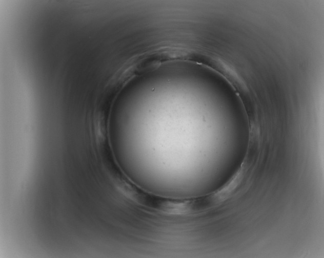 X0000115680170200911191101