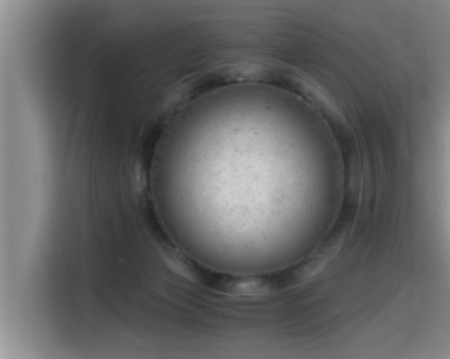 X0000115680173200911191101