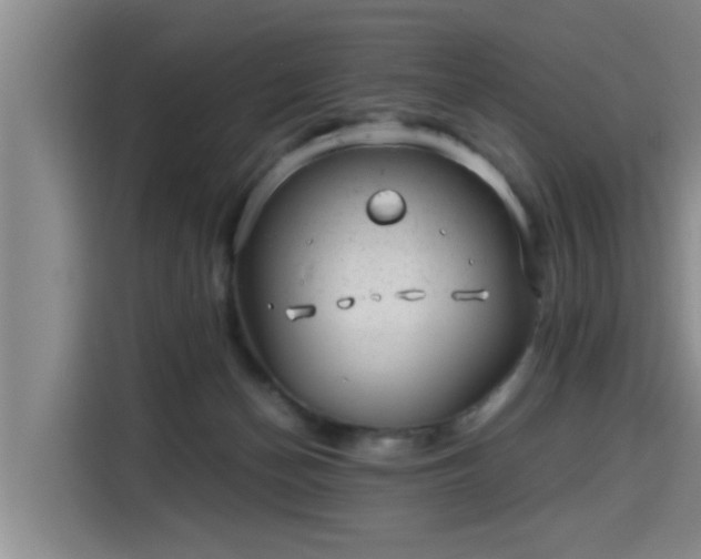 X0000115680174200911191101