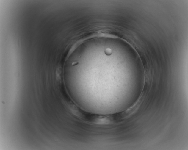 X0000115680175200911191101