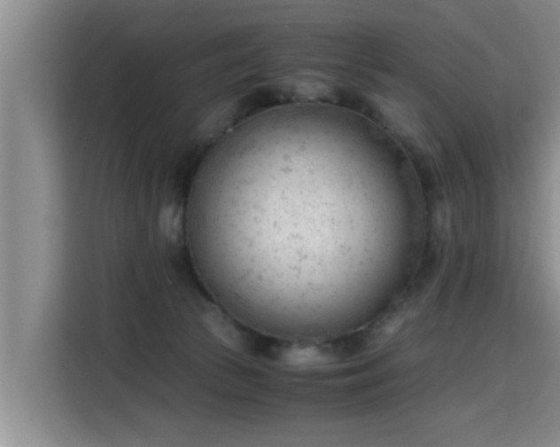 X0000115680177200911191101