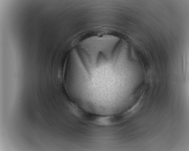 X0000115680178200911191101