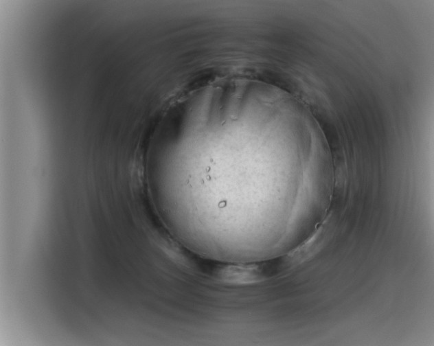 X0000115680179200911191101