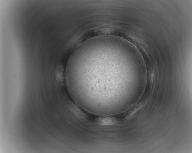 X0000115680181200911191101