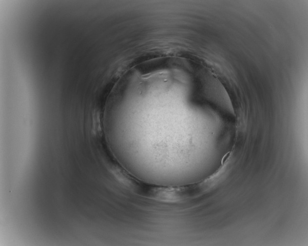 X0000115680182200911191101