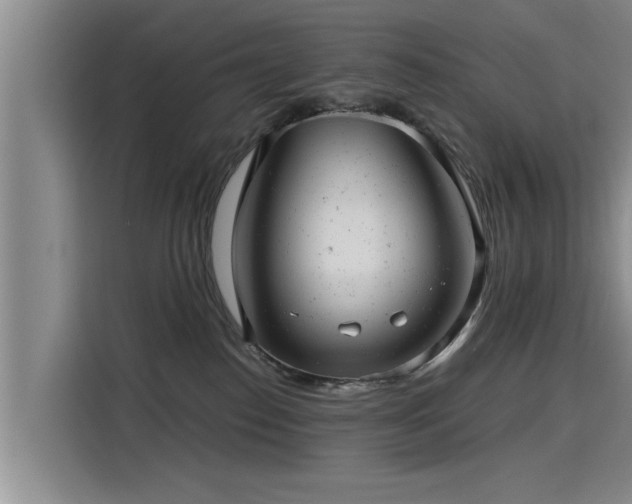 X0000115680186200911191101