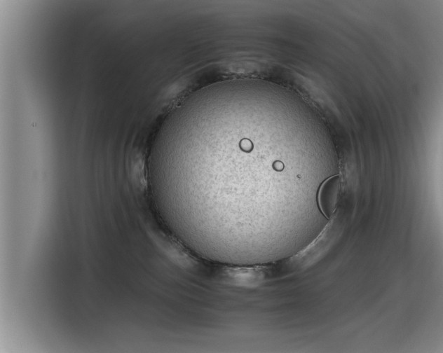 X0000115680187200911191101