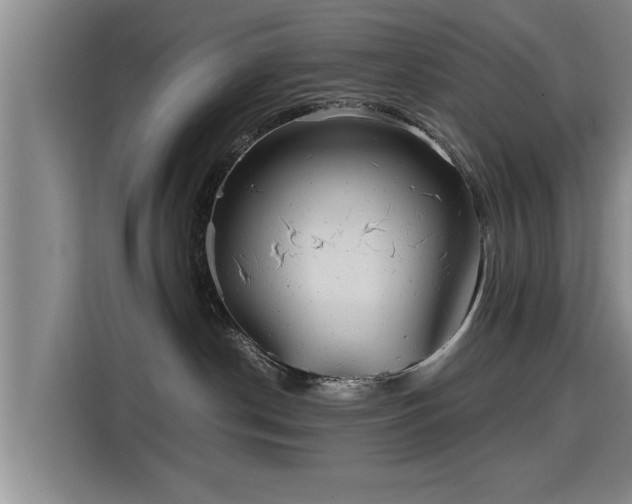 X0000115680190200911191101