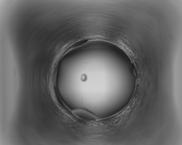 X0000115680193200911191100