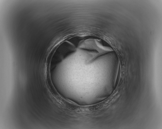 X0000115680194200911191100