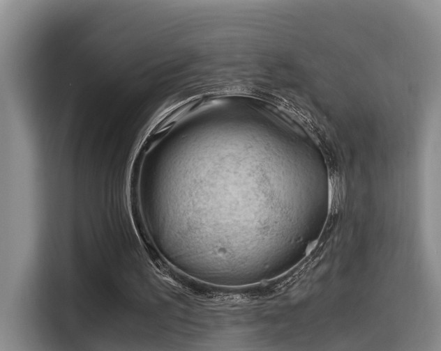 X0000115680195200911191100