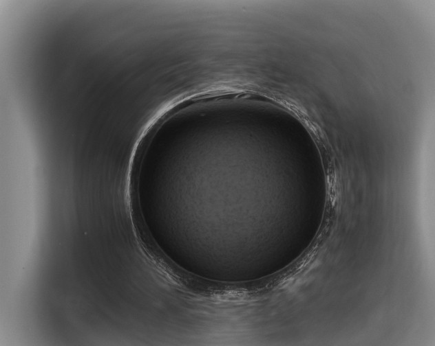 X0000115680196200911191100