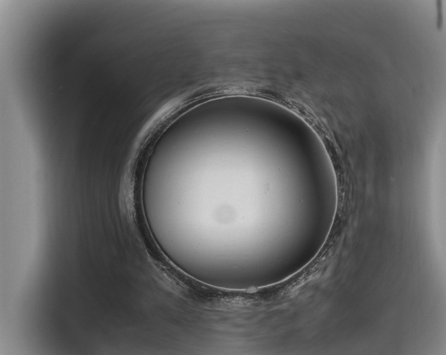 X0000115680197200911191100