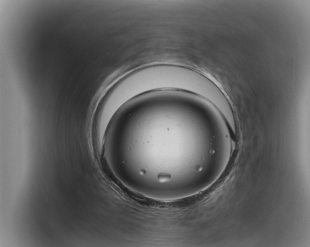 X0000115680199200911191100