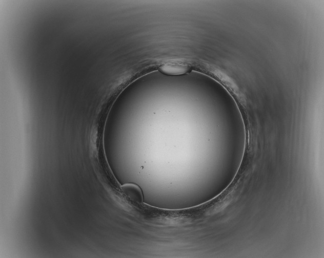 X0000115680201200911191100