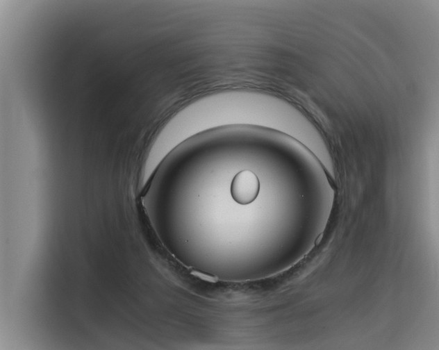 X0000115680209200911191100