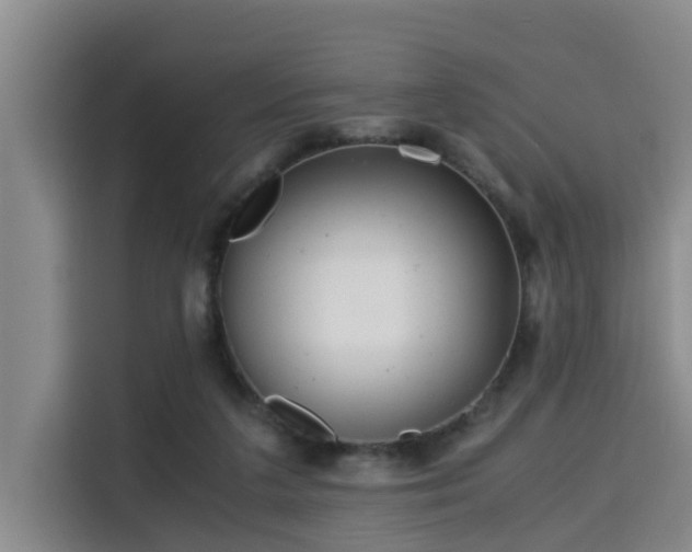 X0000115680211200911191100