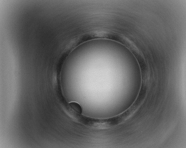 X0000115680213200911191100