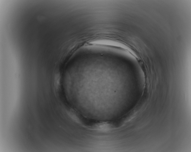 X0000115680219200911191100