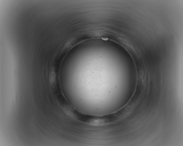 X0000115680220200911191100