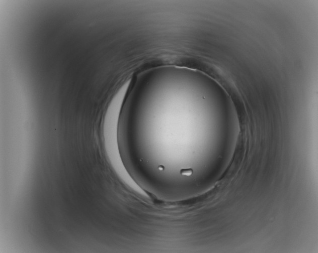 X0000115680221200911191100