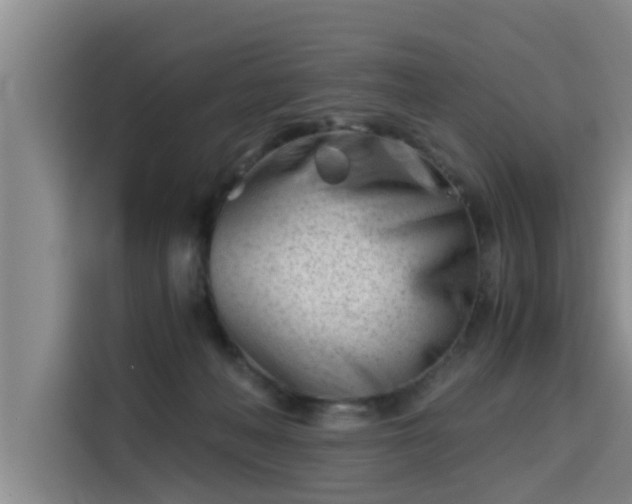 X0000115680222200911191100