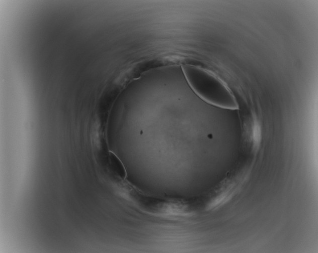 X0000115680223200911191100