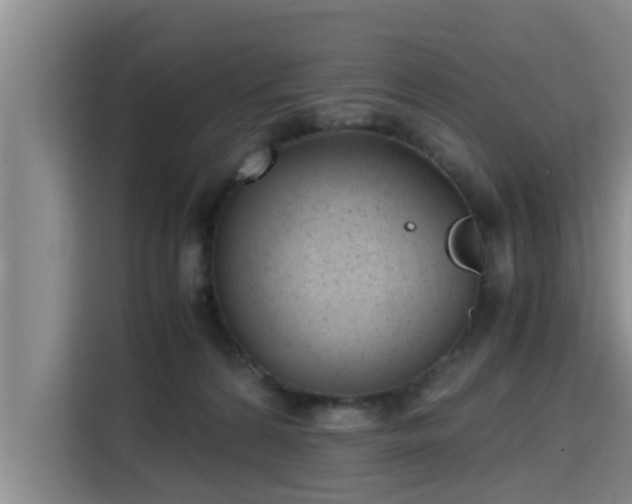 X0000115680224200911191100