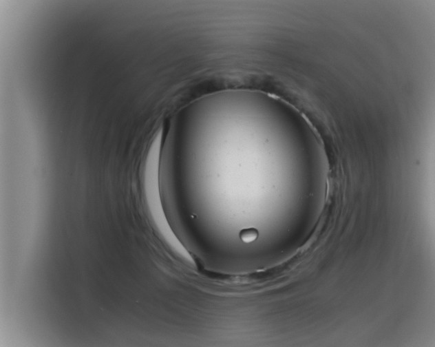 X0000115680225200911191100