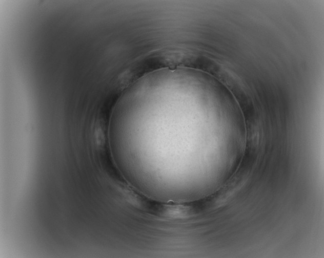 X0000115680226200911191100