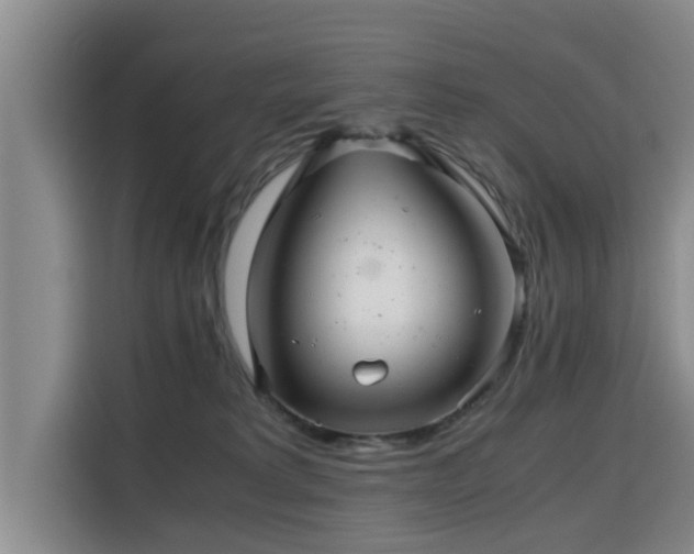 X0000115680229200911191100