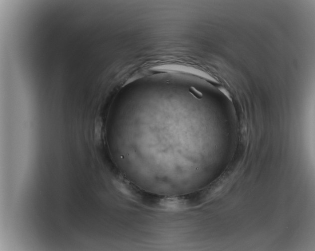 X0000115680231200911191100