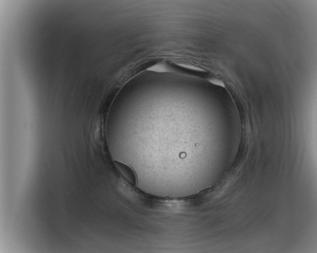 X0000115680233200911191100