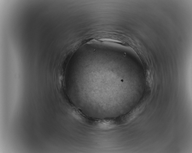 X0000115680235200911191100