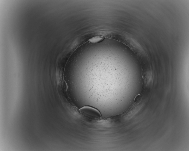 X0000115680236200911191100