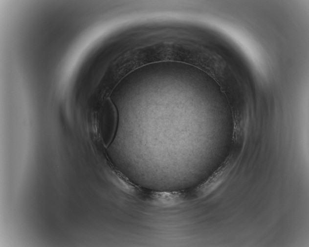 X0000115680239200911191100