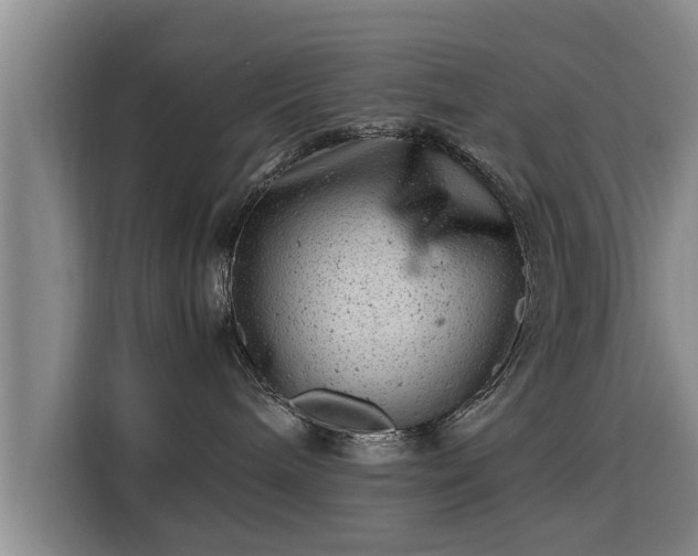 X0000115680240200911191100