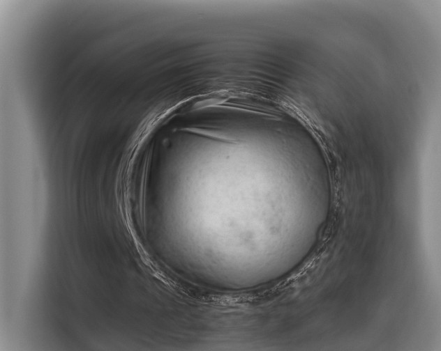 X0000115680241200911191059