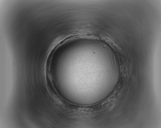 X0000115680242200911191059