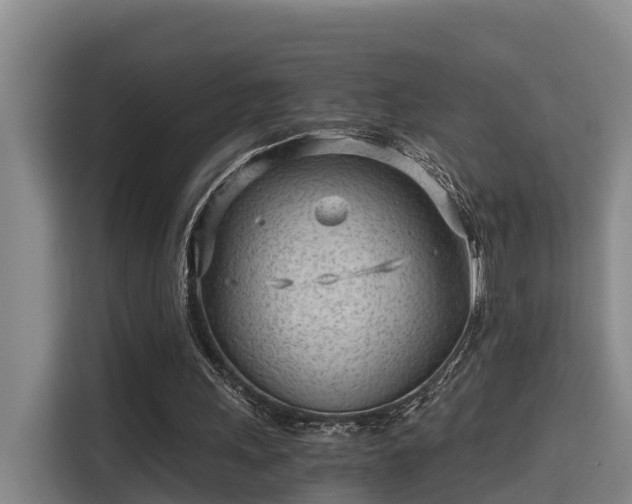 X0000115680243200911191059