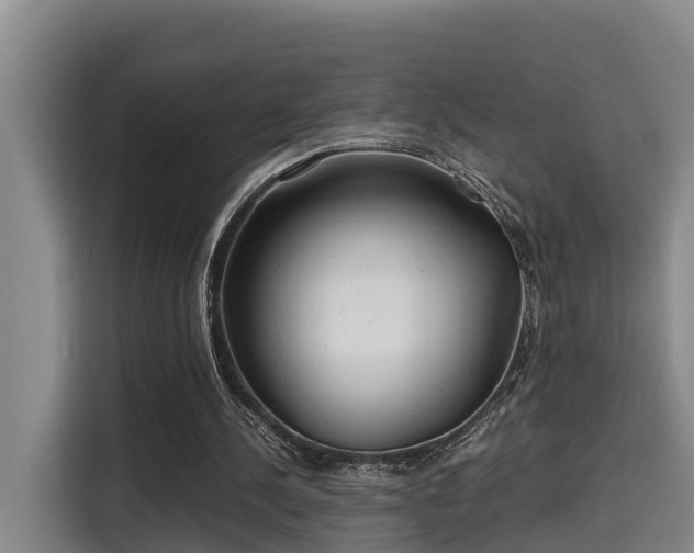 X0000115680244200911191059