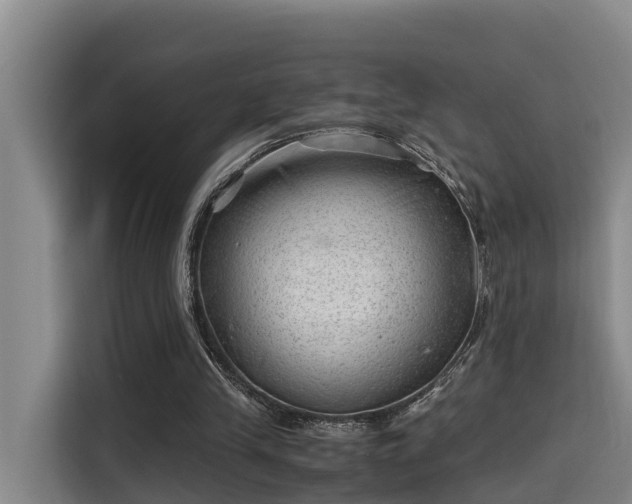 X0000115680245200911191059