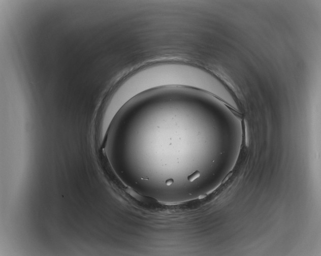 X0000115680252200911191059