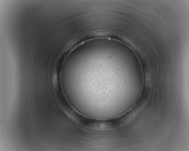 X0000115680254200911191059