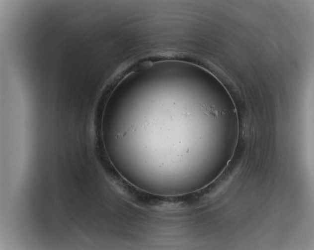 X0000115680256200911191059