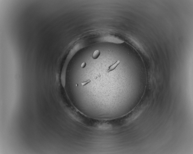 X0000115680258200911191059