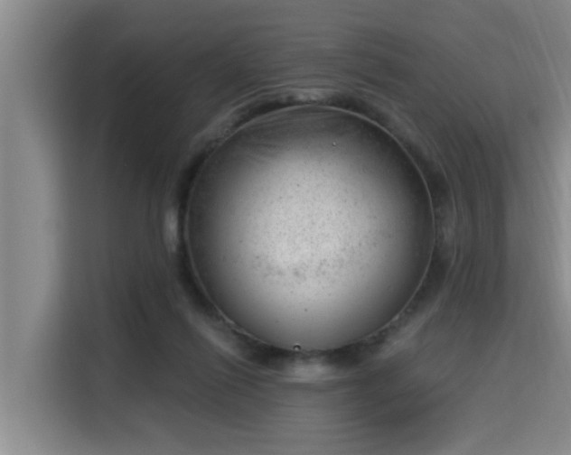 X0000115680262200911191100