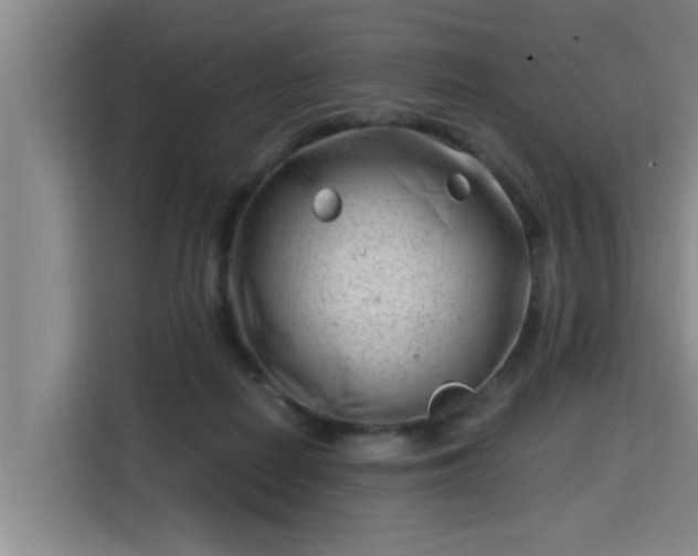 X0000115680266200911191100